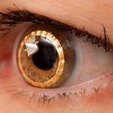 Científicos crean una retina artificial que puede sustituir una dañada