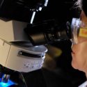 #EllasSonCSIC, una iniciativa para visibilizar el papel de la mujer en la ciencia
