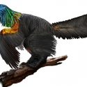 Primer dinosaurio adornado con un collar de plumas arcoiris
