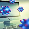 Crean software para clasificar organismos biológicos