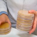 Crean el primer mapa global de las bacterias en los suelos de la Tierra