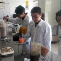 Logran estudiantes crear bioplástico con cáscaras de plátano que se degrada en 30 días
