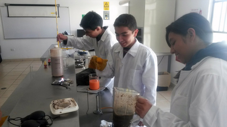 Logran estudiantes crear bioplástico con cáscaras de plátano que se degrada en 30 días