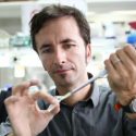 Cápsulas genéticas, la medicina del futuro que desarrolla un científico chileno