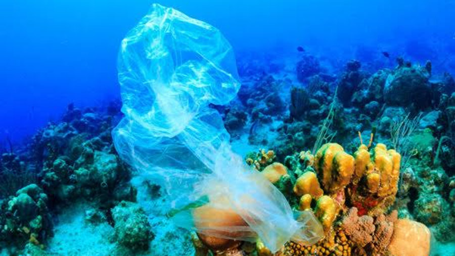 Los residuos plásticos aumenta la posibilidad de enfermedad en los corales