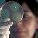 Las siete ‘plagas’ de la ciencia española según la Fundación Alternativas