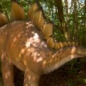 ¿Por qué los reptiles actuales no tienen púas en la cola?