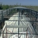 Alistan investigadores mexicanos iglú para mejoramiento genético de organismos