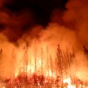 Un impacto cósmico incendió un 10% de la tierra hace 12,800 años