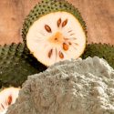 Crea biotecnólogo mexicano método para obtener guanábana en polvo que reduce glucosa en sangre