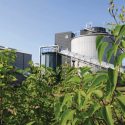 Biorrefinería: de la biomasa a los biocombustibles y productos químicos