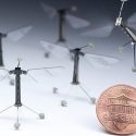 A un paso de insectos robóticos que se comportan como los reales