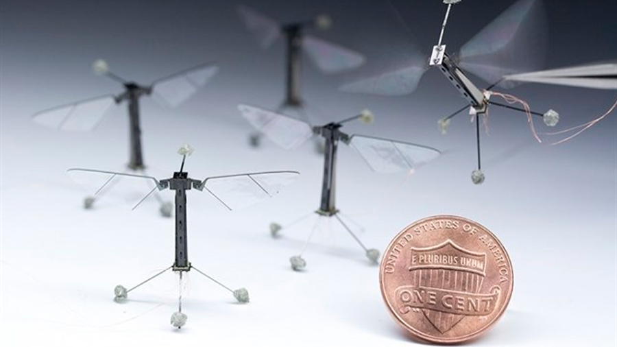 A un paso de insectos robóticos que se comportan como los reales