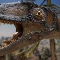 Los dinosaurios fueron víctimas de su éxito como conquistadores