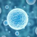 Descubren un aminoácido que pone ‘cerco’ al cáncer de mama
