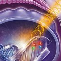 Investigadores descubren una protección del ADN contra la radiación UV