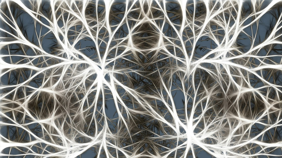 Científicos descubren que las neuronas se comunican de una manera insospechada