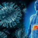 Hepatitis A,B,C,D, y... también la E, causada por un enigmático virus