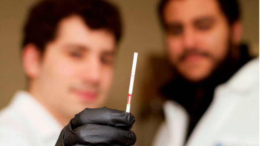 Crean dos bisturís moleculares para detectar enfermedades e infecciones