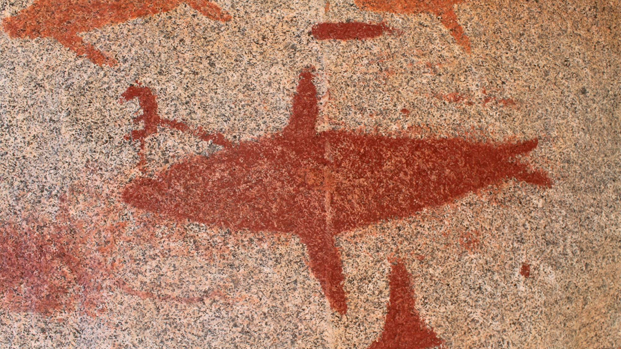 Descubren pinturas rupestres de ballenas y tiburones en pleno desierto