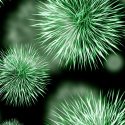 El origen de nuestra consciencia podría estar en un antiguo virus