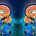 Descubren cómo el cerebro identifica a la persona con la que hablamos