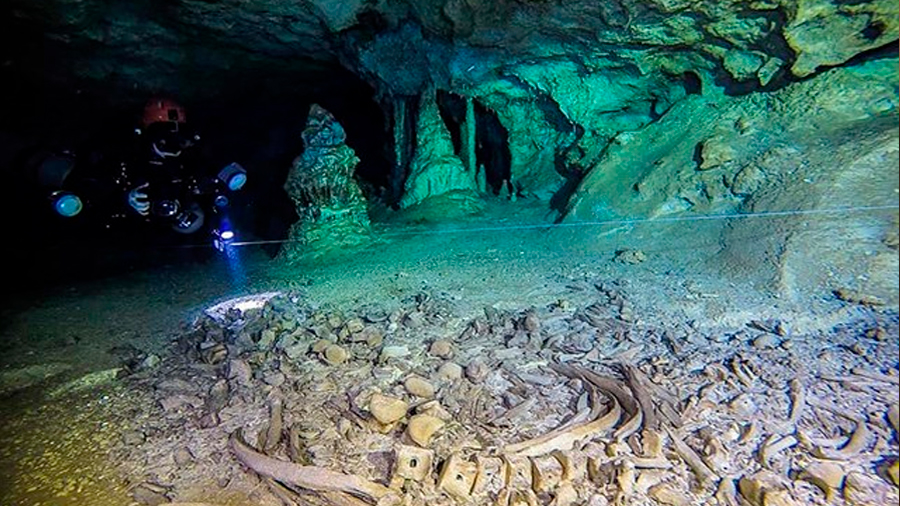 La mayor cueva inundada del mundo tiene huesos de 2,6 millones de años