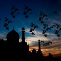 Revelan que un cielo estrellado orienta a los animales nocturnos