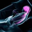 Descubren cómo nos protege el cerebro mientras dormimos
