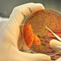 Una proteína diseñada enteramente desde cero logra funcionar bien en células vivas