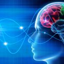 Cuidado con lo que piensas: han logrado reconstruir imágenes a partir de ondas cerebrales