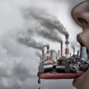 Contaminantes ambientales. OBESIDAD, más allá de la dieta y el ejercicio