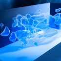 Presentan científicos un mapa de materia oscura amplio y nítido sin precedentes