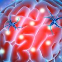 Investigadores logran reentrenar neuronas para funciones cerebrales superiores
