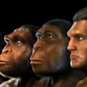 NOSCE TE IPSUM: La herencia de homo