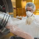 Vía biología sintética consiguen bacterias para producir fármacos con eficacia