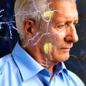 Las enfermedades priónicas pueden esconderse en el cerebro 30 años antes de ser fatales