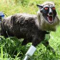 Super Monster Wolf, el espantoso lobo robótico que protege los cultivos en Japón