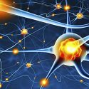 La adicción a las drogas depende de la producción de neuronas, revela estudio