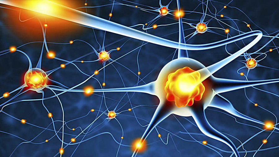 La adicción a las drogas depende de la producción de neuronas, revela estudio