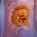 Éste es el nuevo órgano del cuerpo humano que fue identificado en el año 2016