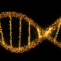 Cómo ver y manipular simultáneamente una única molécula de ADN