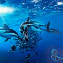 ¿Designan los paleontólogos demasiadas nuevas especies?
