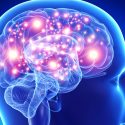 ¿Qué pasa en el cerebro instantes antes de la muerte?