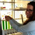 Investigadora mexicana logra en Noruega obtener de microalgas productos benéficos a la salud