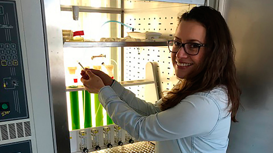 Investigadora mexicana logra en Noruega obtener de microalgas productos benéficos a la salud