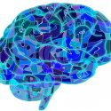 Descubren cómo se fragmentan las redes cerebrales mientras un individuo está inconsciente