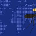 Insectos peligrosos están colonizando todo el planeta