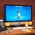 Crean investigadores mexicanos sistema que clasifica e interpreta ladridos de perros ante posibles eventos de alarma