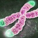 El síndrome de Down no es solo cuestión de un cromosoma extra